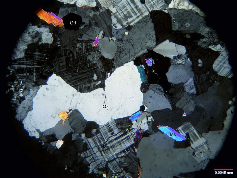 Archivo:Lp40-granate .jpg