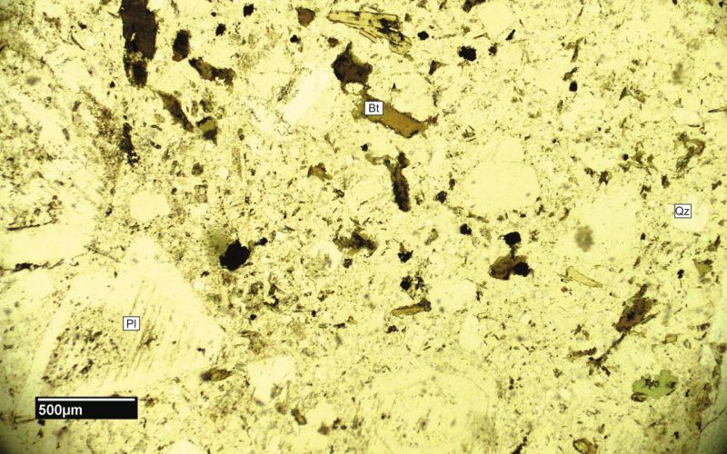 Archivo:FML-CD-286 SN X4.jpg