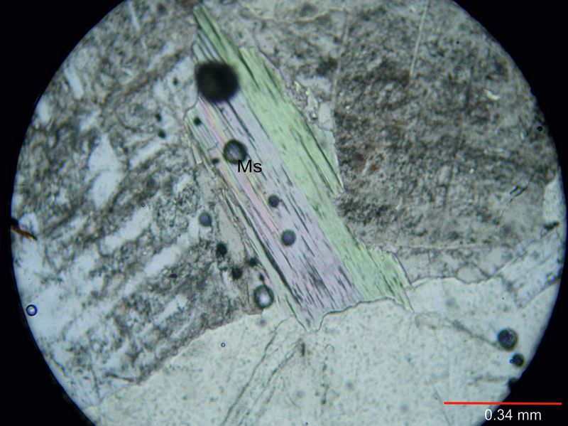 Archivo:Lp39-Muscovita sin nicoles.jpg