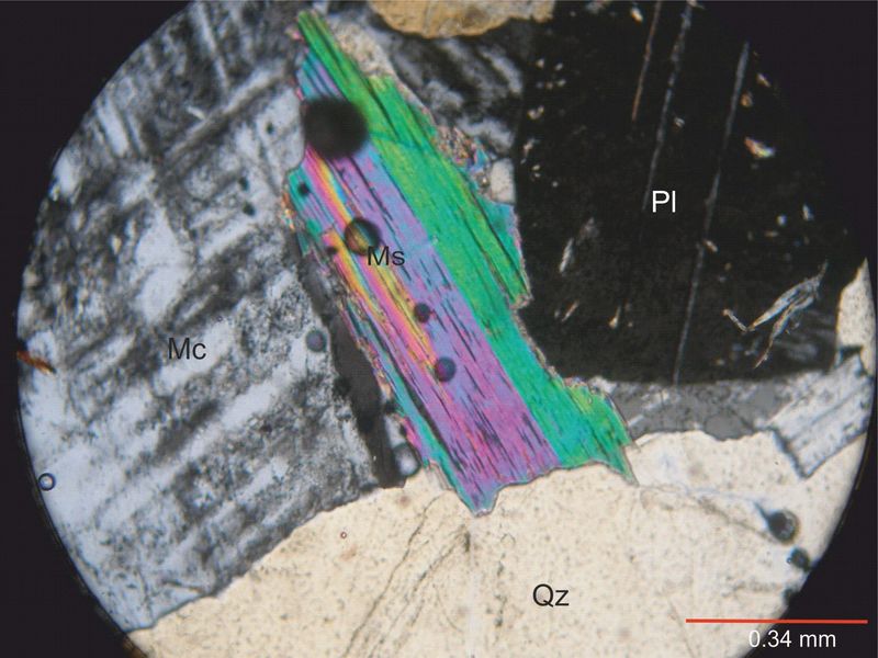 Archivo:Lp39-Muscovita con nicoles.jpg