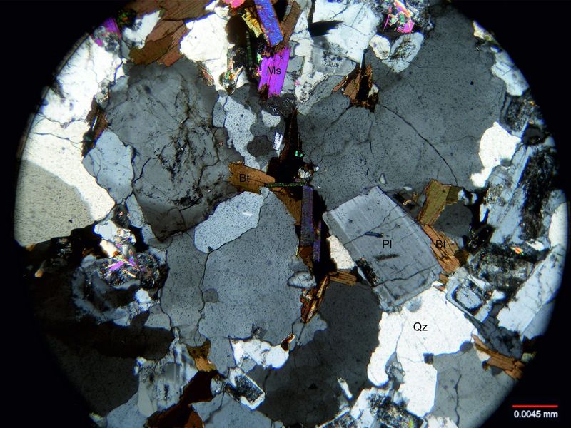 Archivo:Lp12-Biotita y ms c nicoles cruzados.jpg