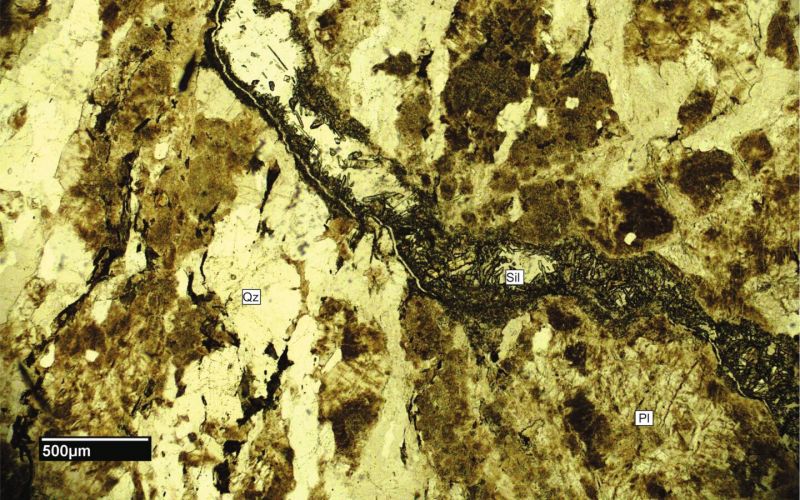 Archivo:FML-CD-320 SN x4.jpg