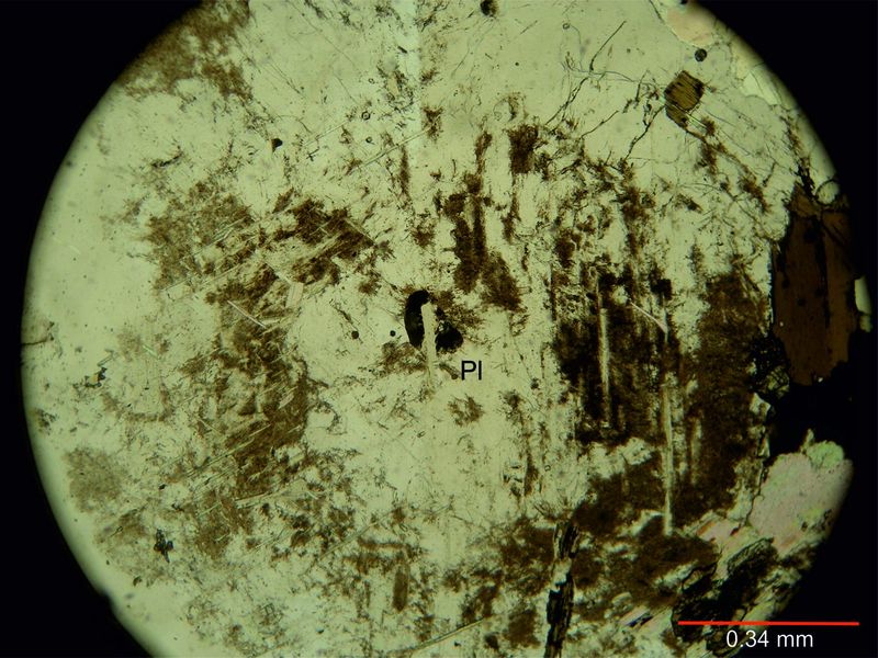 Archivo:108-Plagioclasa sin nicoless.jpg