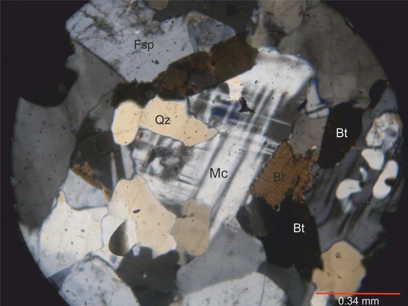 Archivo:106-Biotita con nicoles.jpg