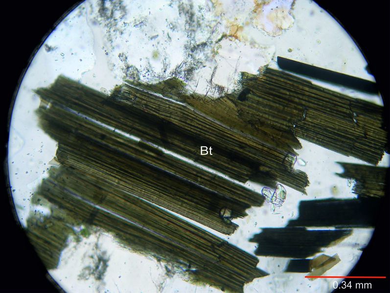 Archivo:321-Biotita s nicoles.jpg