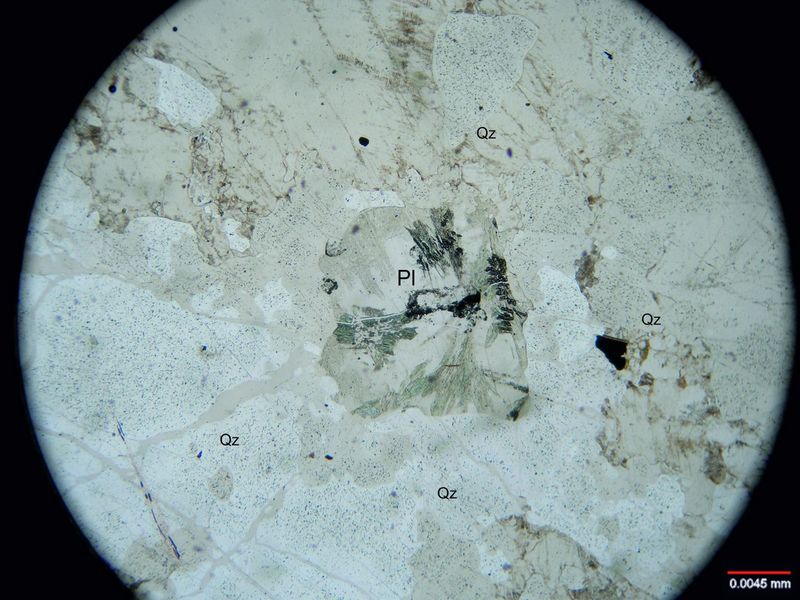 Archivo:728-Plag alterada a sericita ms.jpg