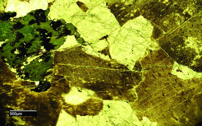 Archivo:FML-CD-264 SN x4.jpg