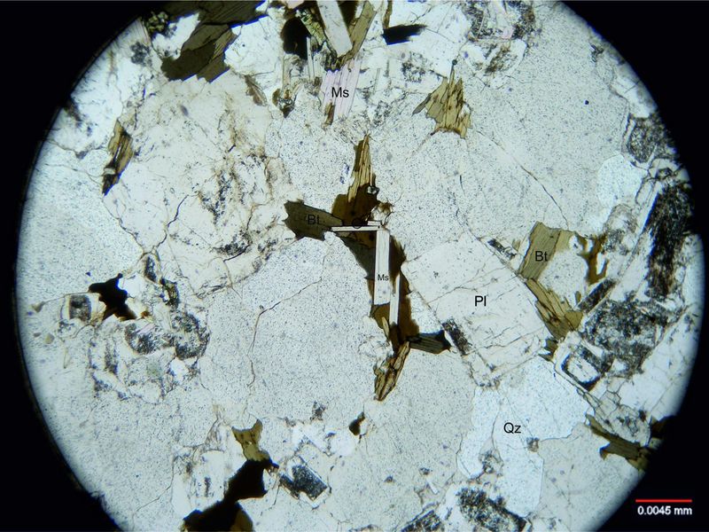 Archivo:Lp12-biotita y muscovita s nicoles.jpg