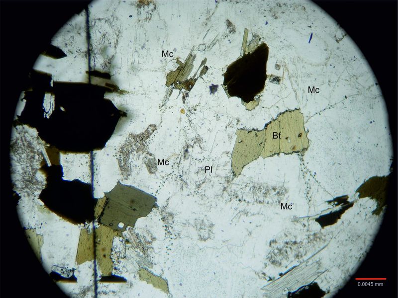 Archivo:Clc-Mc,plag,bt, Los Cuartos,sin nicoles.jpg