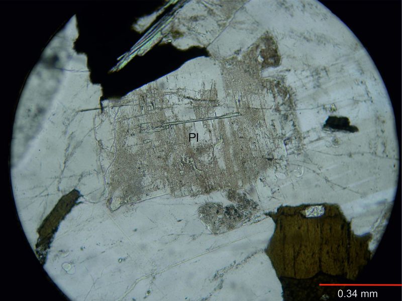 Archivo:Plagioclasa alt a sericita.jpg