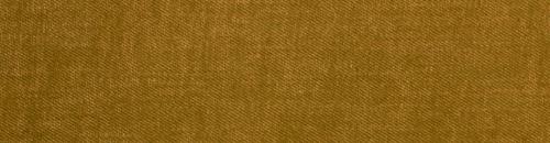  Genera et Species Animalium Argentinorum