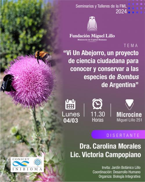 Seminarios FML (2024): Vi Un Abejorro, un proyecto de ciencia ciudadana para conocer y conservar a las especies de Bombus de Argentina