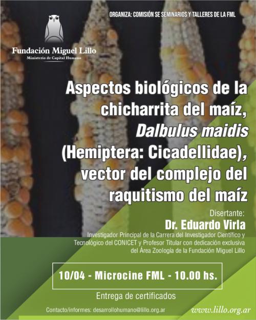 Seminarios FML (2024): Aspectos biológicos de la chicharríta del maíz, Dalbulus maidis (Hemiptera: Cicadellidae), vector del complejo del raquitismo del maíz