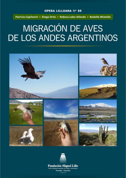 Opera Lilloana 59 (2026): Migración de aves de los Andes argentinos
