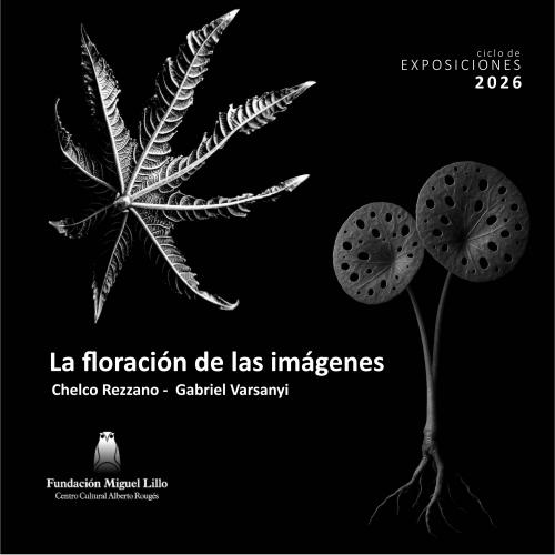 La floración de las imágenes - Gabriel Varsanyi y Chelco Rezzano