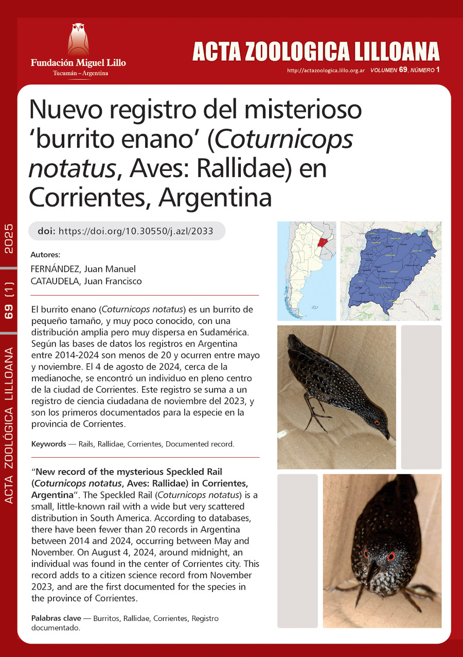 Nuevo registro del misterioso ‘burrito enano’ (Coturnicops notatus, Aves: Rallidae) en Corrientes, Argentina