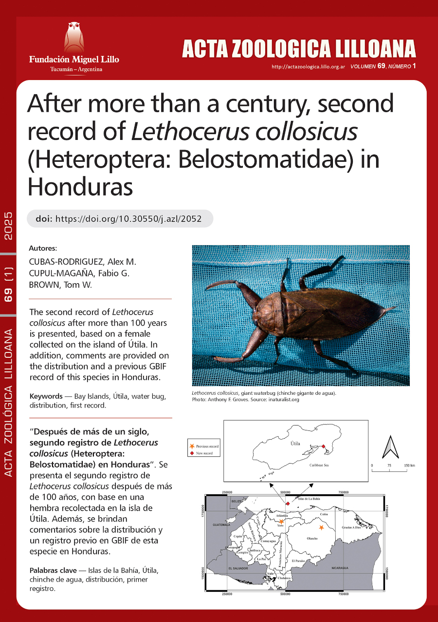 Después de más de un siglo, segundo registro de Lethocerus collosicus (Heteroptera: Belostomatidae) en Honduras
