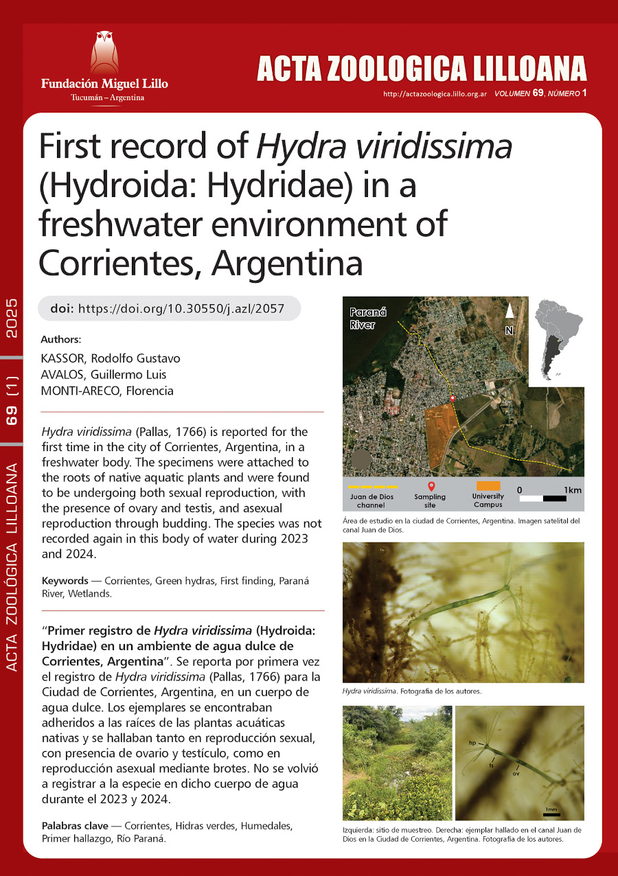 Primer registro de Hydra viridissima (Hydroida: Hydridae) en un ambiente de agua dulce de Corrientes, Argentina