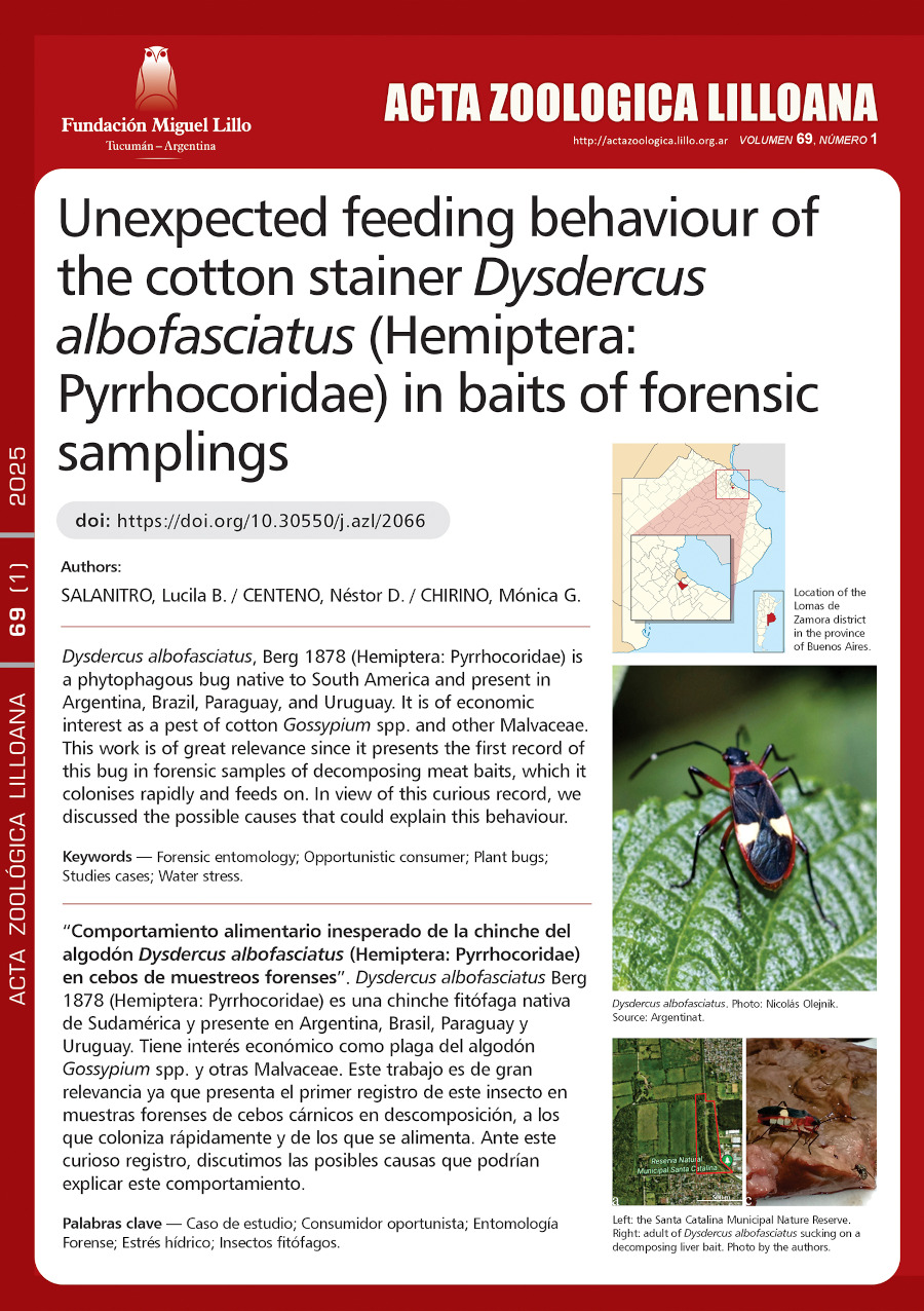Comportamiento alimentario inesperado de la chinche del algodón Dysdercus albofasciatus (Hemiptera: Pyrrhocoridae) en cebos de muestreos forenses