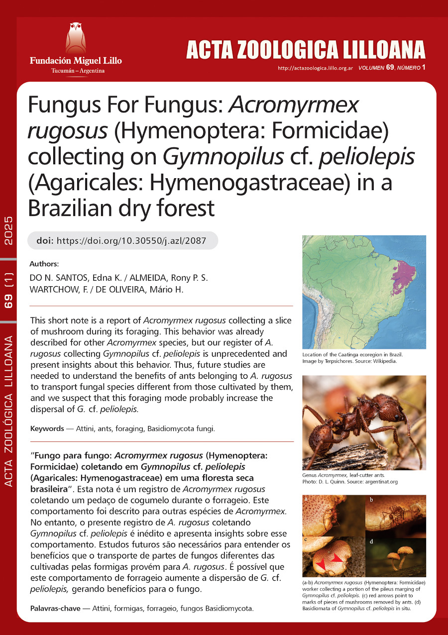 Fungus For Fungus: Acromyrmex rugosus (Hymenoptera: Formicidae) collecting on Gymnopilus cf. peliolepis (Agaricales: Hymenogastraceae) in a Brazilian dry forest