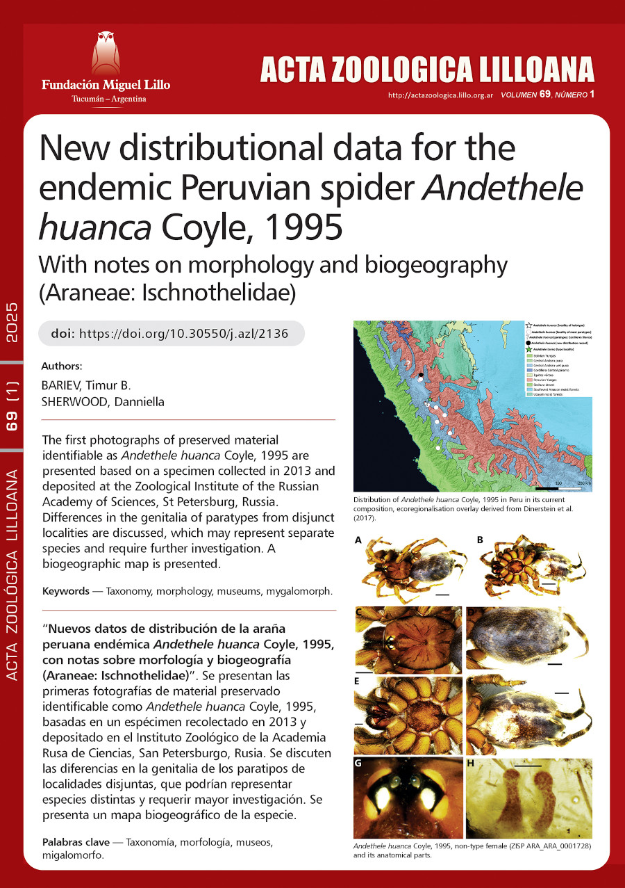 Nuevos datos de distribución de la araña peruana endémica Andethele huanca Coyle, 1995, con notas sobre morfología y biogeografía (Araneae: Ischnothelidae)