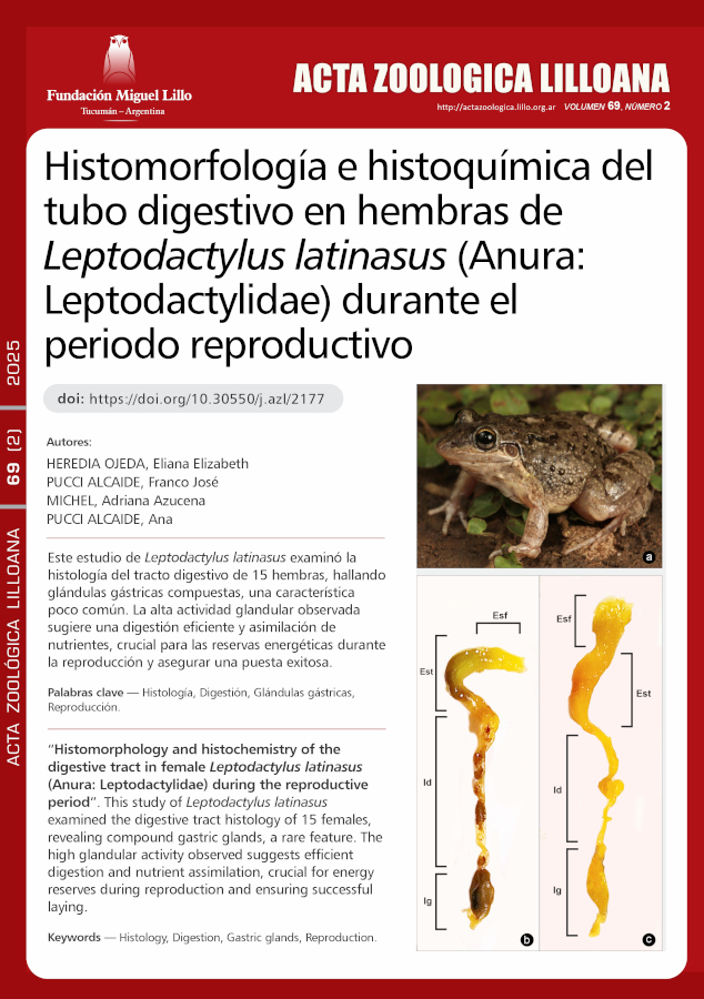 Histomorfología e histoquímica del tubo digestivo en hembras de Leptodactylus latinasus (Anura: Leptodactylidae) durante el periodo reproductivo