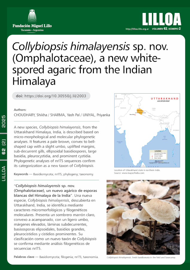 Collybiopsis himalayensis sp. nov. (Omphalotaceae), un nuevo agárico de esporas blancas del Himalaya de la India