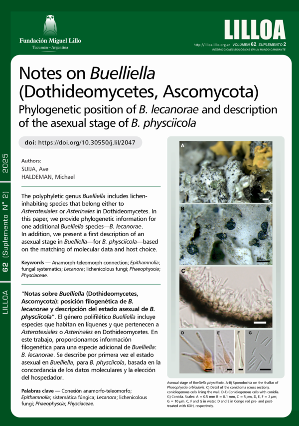 Notas sobre Buelliella (Dothideomycetes, Ascomycota): posición filogenética de B. lecanorae y descripción del estado asexual de B. physciicola