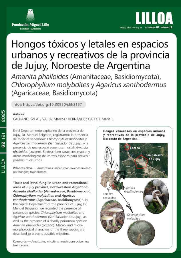 Hongos tóxicos y letales en espacios urbanos y recreativos de la provincia de Jujuy, Noroeste de Argentina: Amanita phalloides (Amanitaceae, Basidiomycota), Chlorophyllum molybdites y Agaricus xanthodermus (Agaricaceae, Basidiomycota)