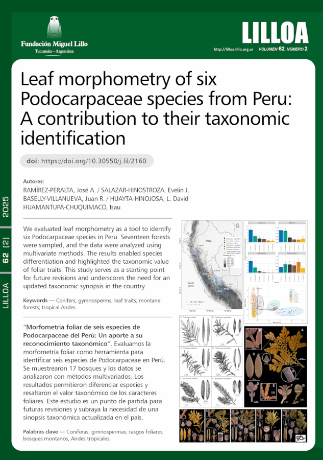 Morfometría foliar de seis especies de Podocarpaceae del Perú: Un aporte a su reconocimiento taxonómico