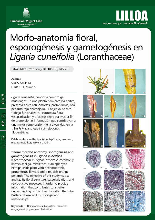 Morfo-anatomía floral, esporogénesis y gametogénesis en Ligaria cuneifolia (Loranthaceae)
