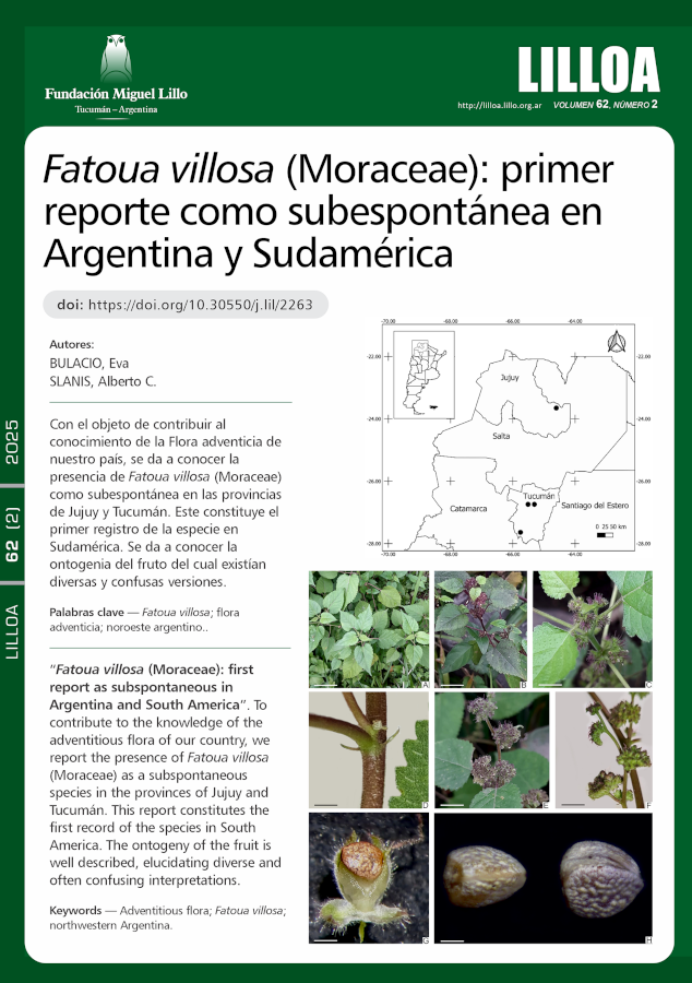 Fatoua villosa (Moraceae): primer reporte como subespontánea en Argentina y Sudamérica