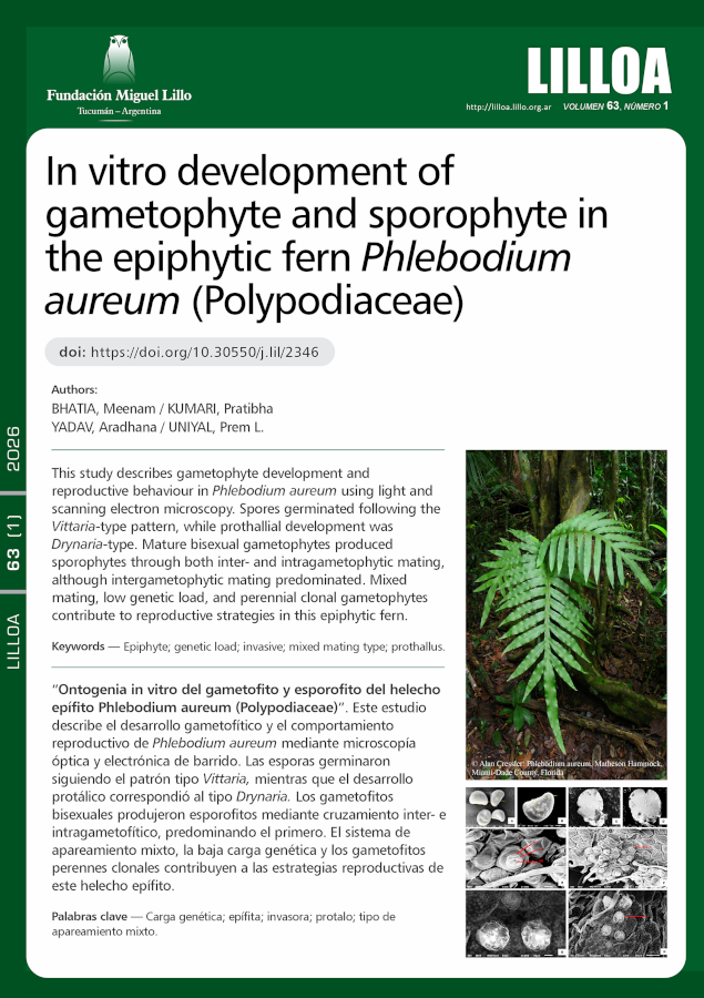 Ontogenia in vitro del gametofito y esporofito del helecho epífito Phlebodium aureum (Polypodiaceae)