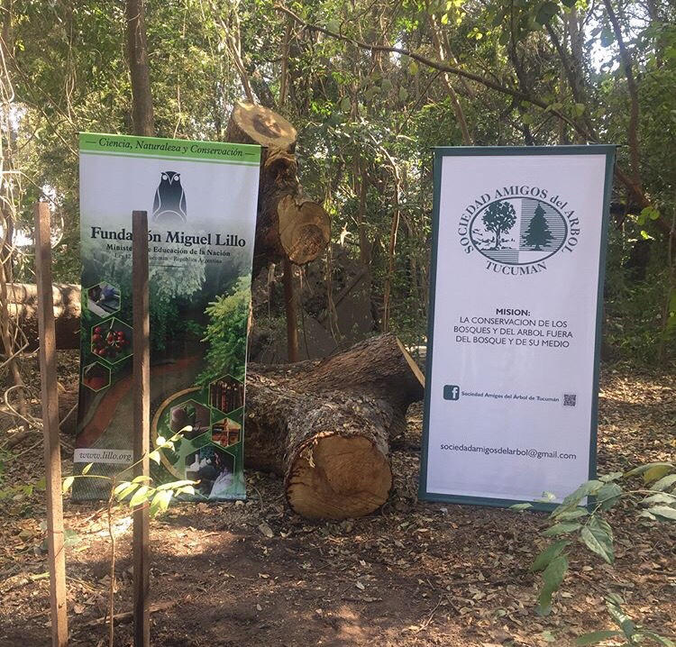 Día del Árbol en Fundación Miguel Lillo (2018)