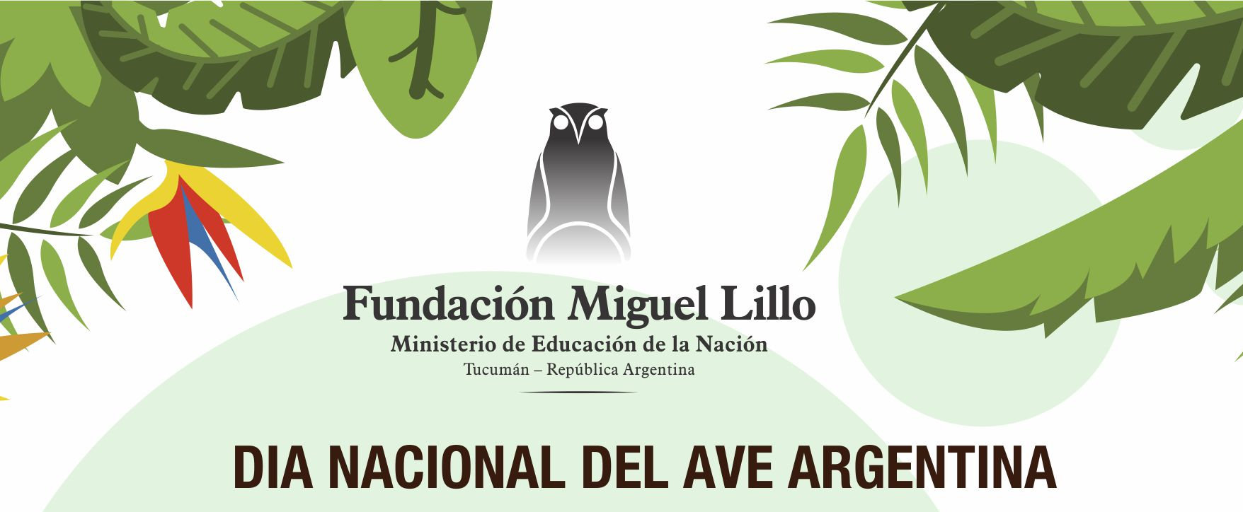 Día Nacional del Ave Argentina (Fundación Miguel Lillo)
