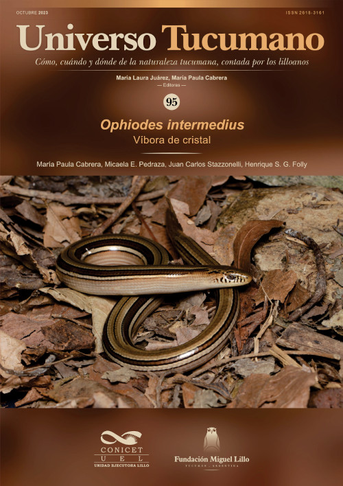 Universo Tucumano 95 (2023): Víbora de cristal, Ophiodes intermedius