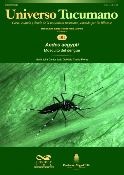 Universo Tucumano 101 (2024): Mosquito del dengue (Aedes aegypti)