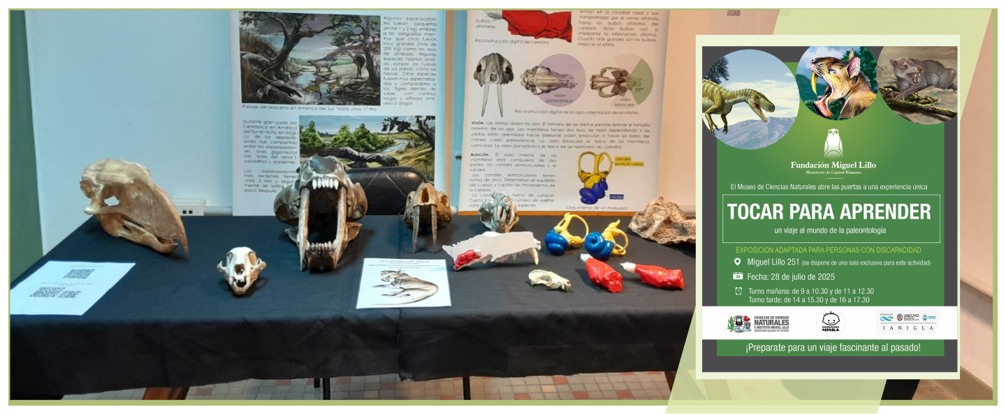 Una muestra de Paleontología para personas con capacidades diferentes