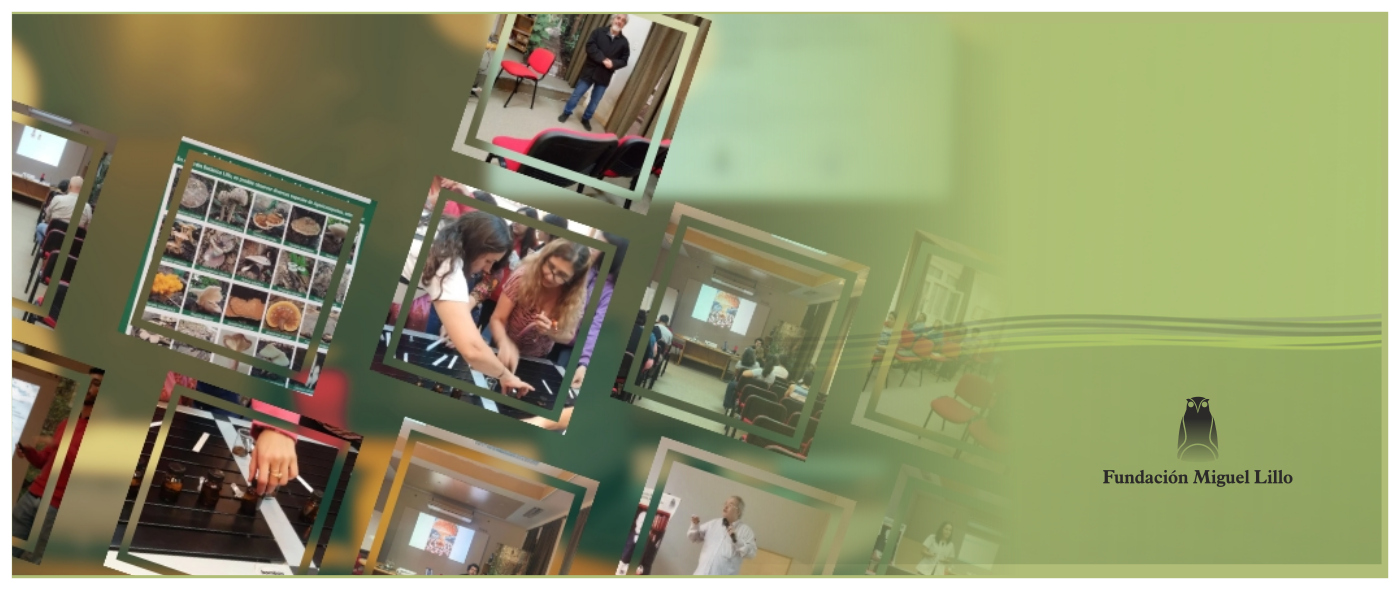 Éxito y diversidad en el Ciclo de Seminarios FML 2025