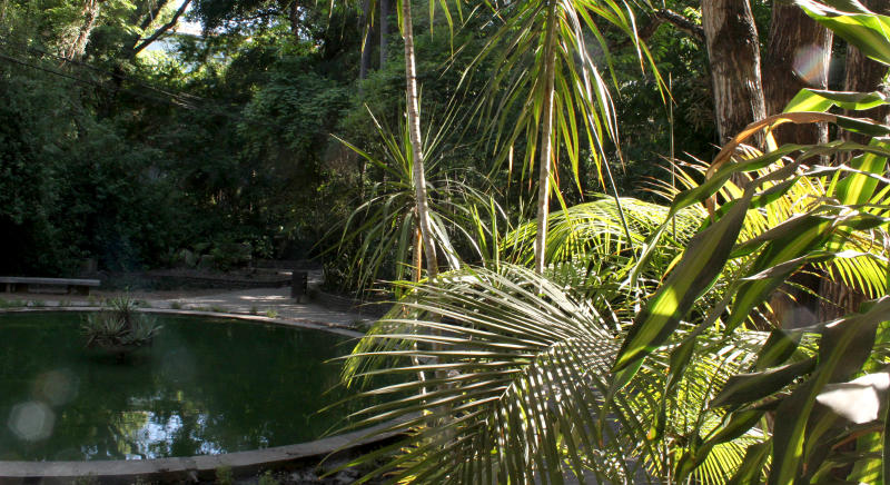 Fundación Miguel Lillo. Jardín Botánico.