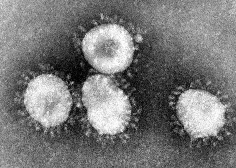 Coronavirus. Foto: Centers for Disease Control and Prevention's Public Health Image
