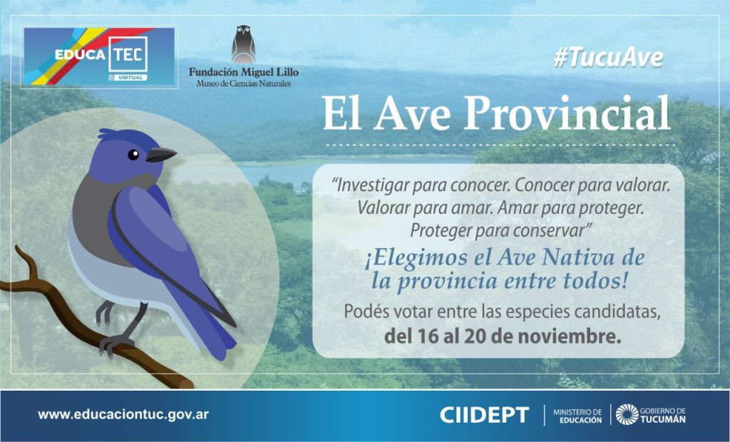 Atención tucumanos: ¡A votar el AVE PROVINCIAL! (Fundación Miguel Lillo)