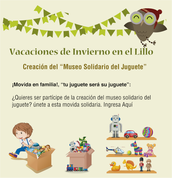 Museo solidario del juguete, Fundación Miguel Lillo