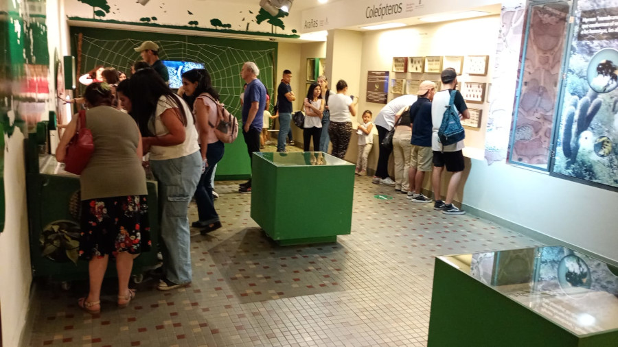 Más de 3000 personas recorrieron los Museos de la FML