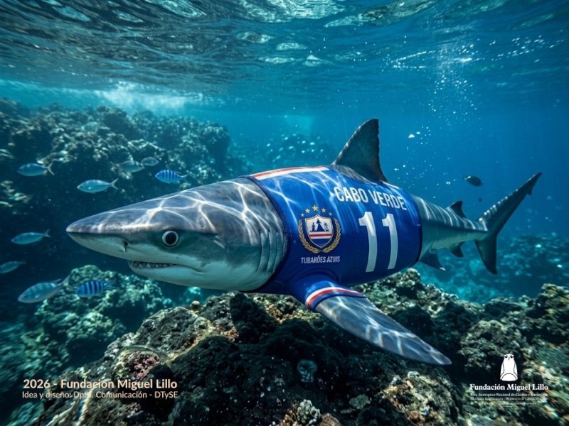 Biodiversidad mundial 26: Argentina vs. Cabo Verde