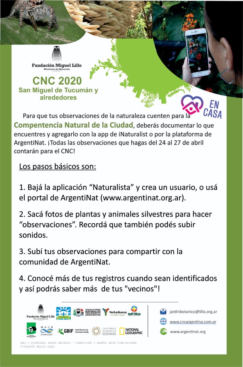 Ciudad 2020