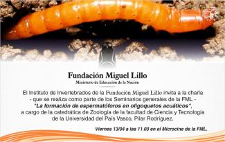 La formación de espermatóforos en oligoquetos acuáticos