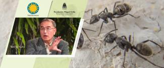 Acuerdo de transferencia de material con el Instituto Smithsoniano.