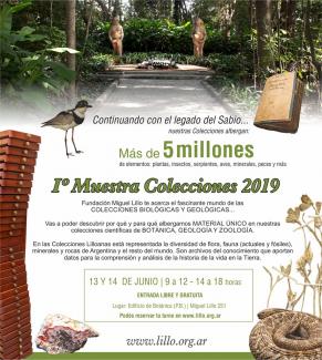 1ª Muestra de Colecciones 2019