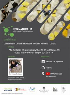 Colecciones de Ciencias Naturales en tiempos de pandemia - COVID-19